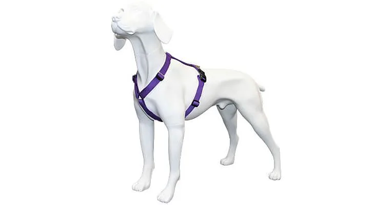 Clean Run Haqihana Harness - Solid Colors