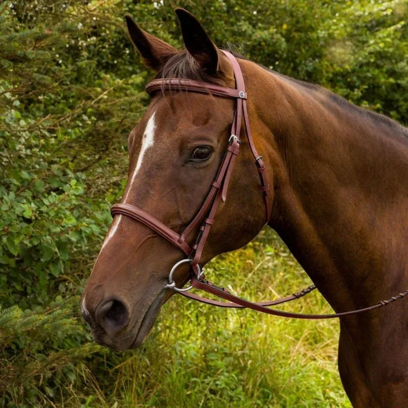 HDR Advantage Fancy Raised Bridle - Image 2