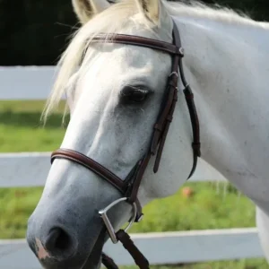 HDR Advantage Raised Snaffle Bridle
