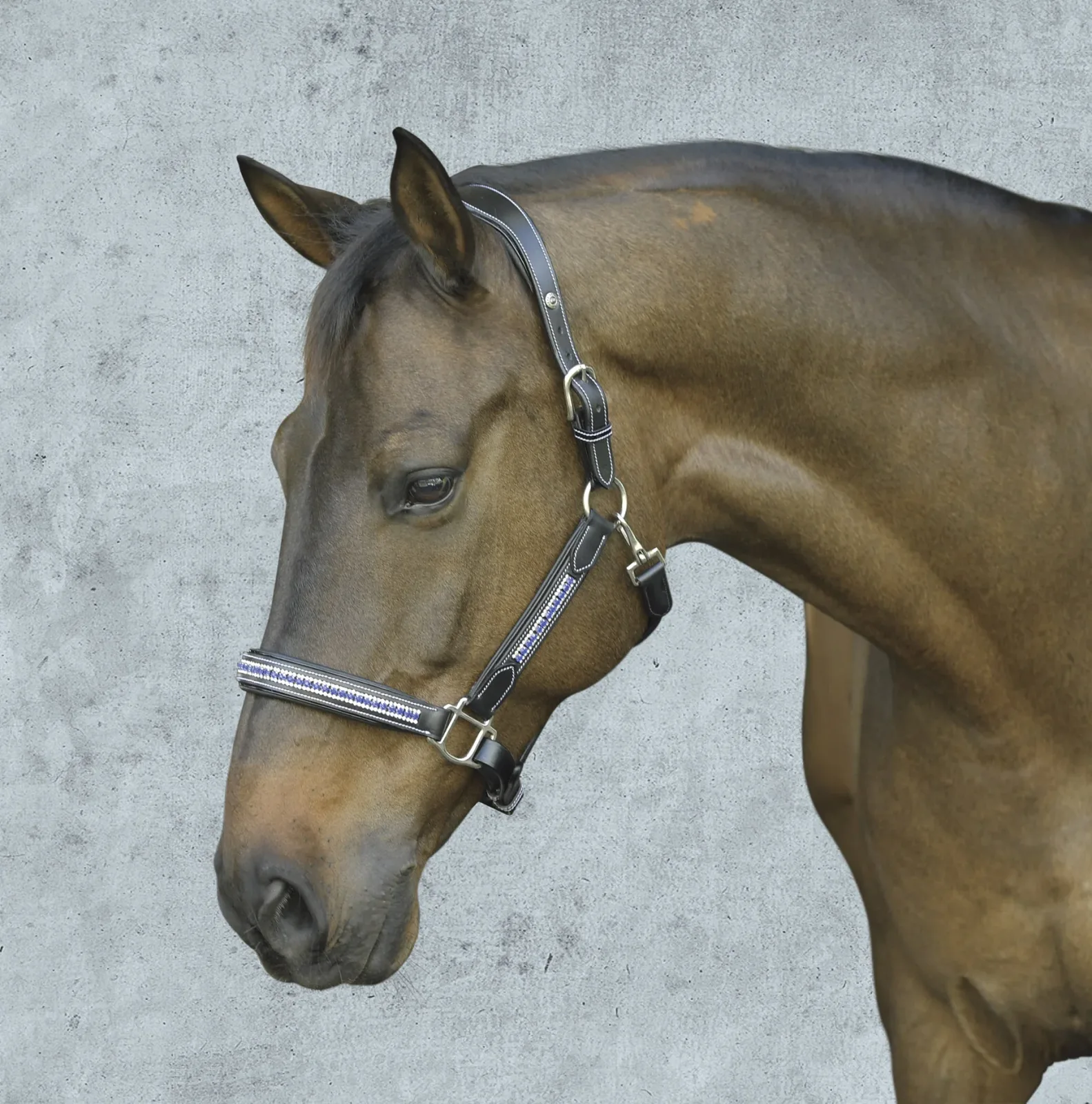 HDR Padded Jewel Halter