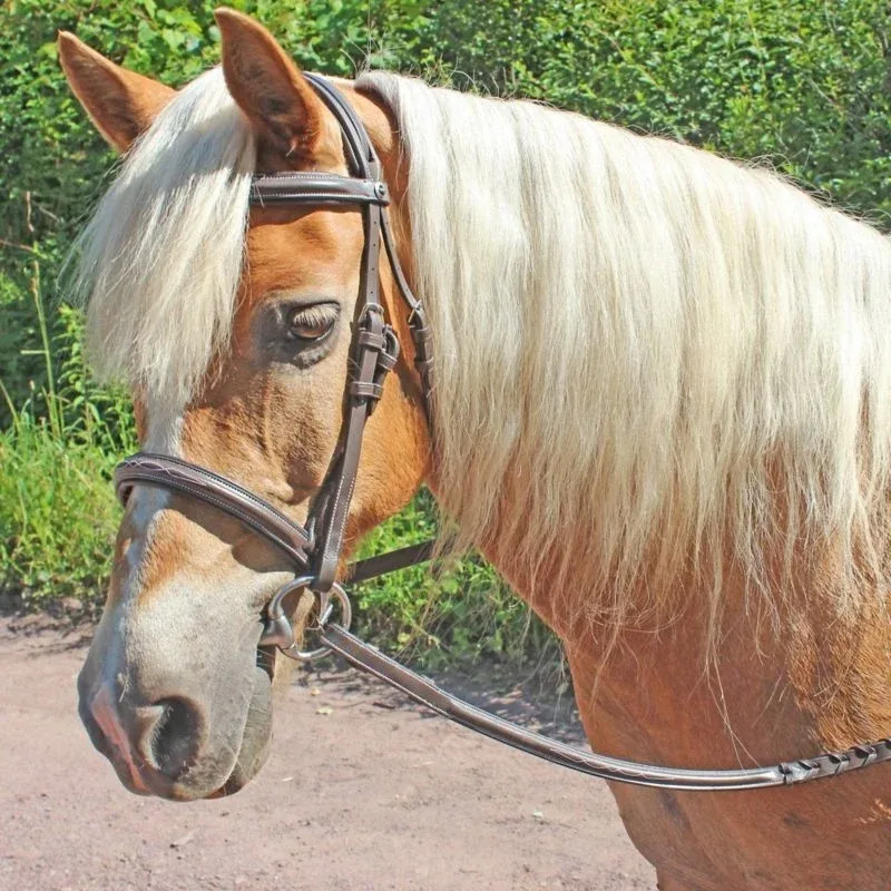 HDR Pro Fancy Raised Comfort Crown Padded Bridle - Image 2