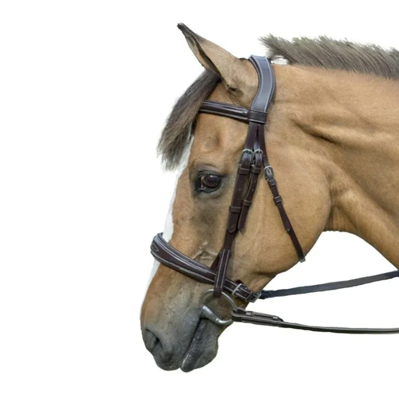 HDR Pro Mono-Crown Padded Bridle