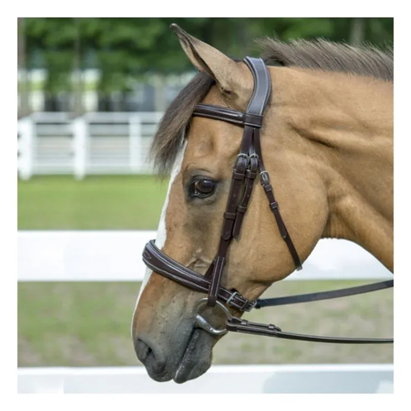 HDR Pro Mono-Crown Padded Bridle - Image 2