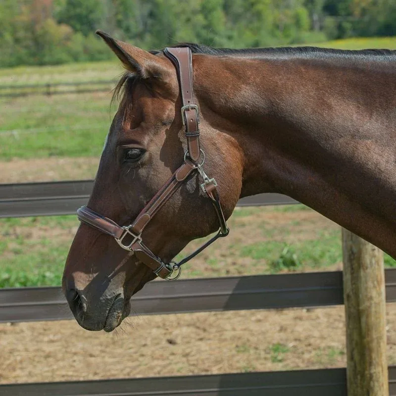 HDR Stress Free Fancy Stitch Halter - Image 2