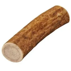 Health Extension Whole Antler Medium {L+1}587098