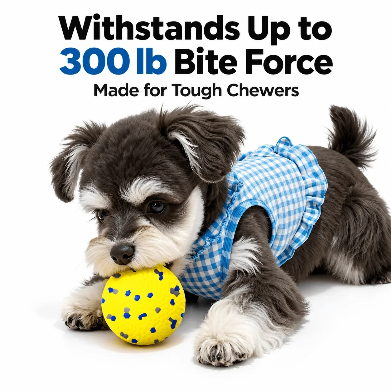 Heavy-Duty E-TPU Dog Ball for Aggressive Chewers - Image 2
