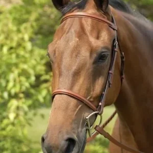 Henri de Rivel Advantage Flat Laced Reins