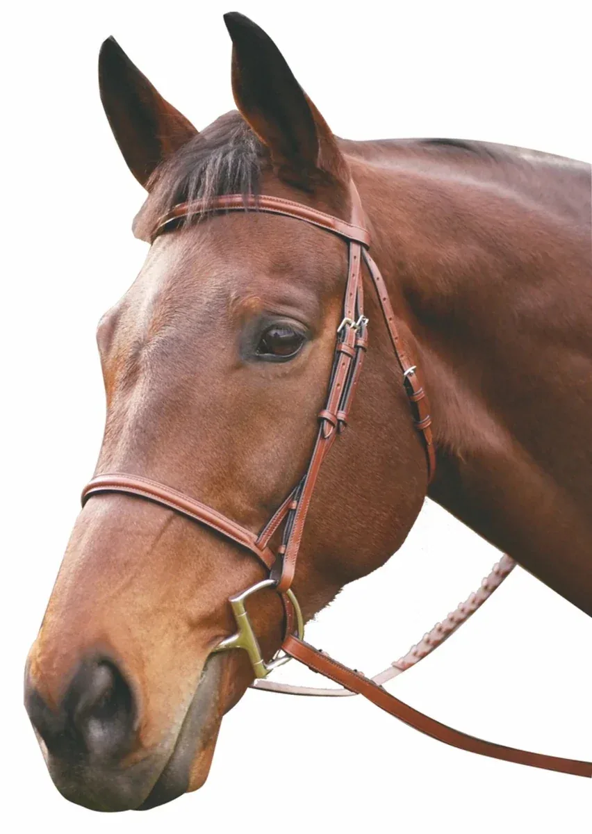Henri de Rivel Advantage Plain Raised Snaffle Bridle With Laced Reins, Oak Bark, Pony