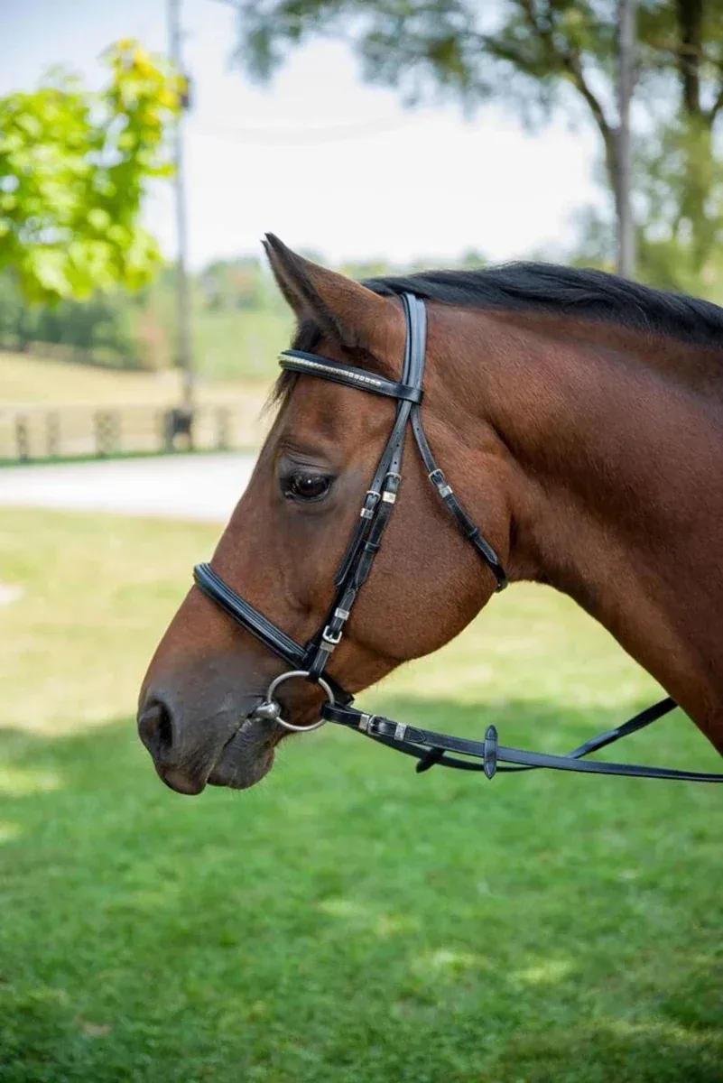 Henri de Rivel Clincher Bridle - Image 2