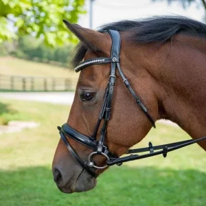 Henri de Rivel Diamonte Dressage Bridle