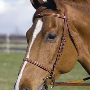 Henri De Rivel Fancy Raised Bridle
