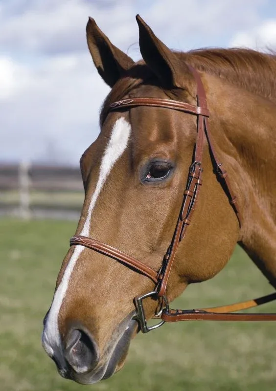 Henri De Rivel Fancy Raised Bridle - Image 2