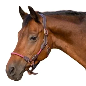Henri de Rivel Leather Rope Halter