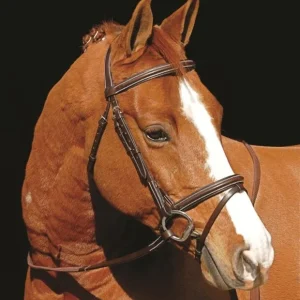 Henri De Rivel Monocrown Event Bridle