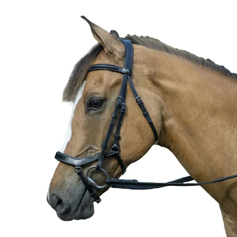 Henri de Rivel Pro Anatomical Bridle - Image 2