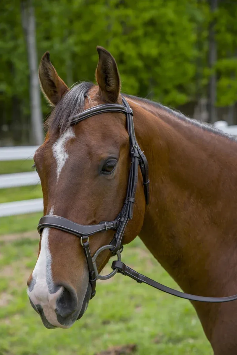 Henri de Rivel Pro Anatomical Bridle - Image 2