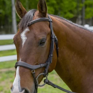 Henri de Rivel Pro Anatomical Bridle
