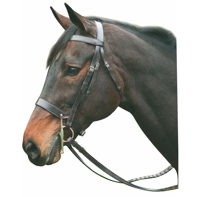 Henri de Rivel Pro Hunt Bridle