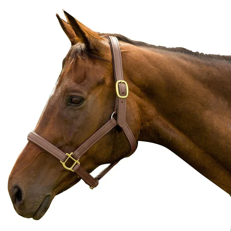 Henri de Rivel Vegan-X Leather Halter - Image 2