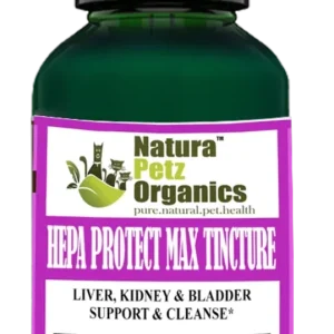 Hepa Protect Max Tincture* Master Blend Liver Kidney & Bladder Support & Cleanse 10: 1 Extract*