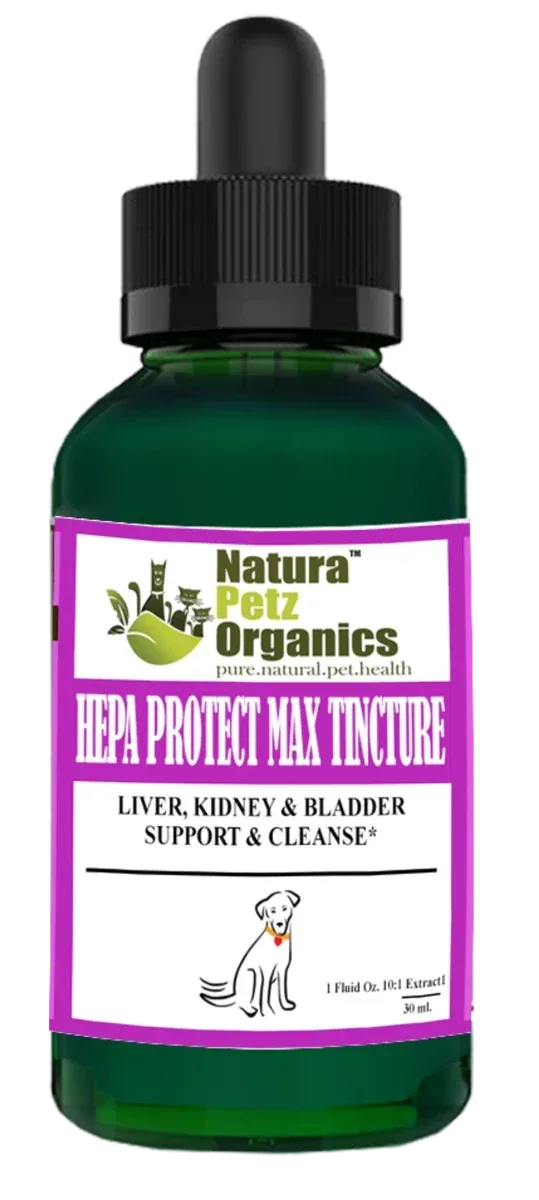 Hepa Protect Max Tincture* Master Blend Liver Kidney & Bladder Support & Cleanse 10: 1 Extract*