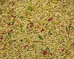 Higgins Imperial Parakeet Fortified 50lb {L-1}466136