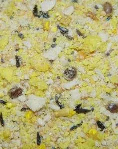 Higgins Protein Egg Food 20lb {L+1}466709