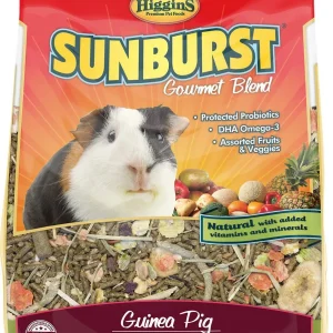 Higgins Sunburst Guinea Pig - 3lb