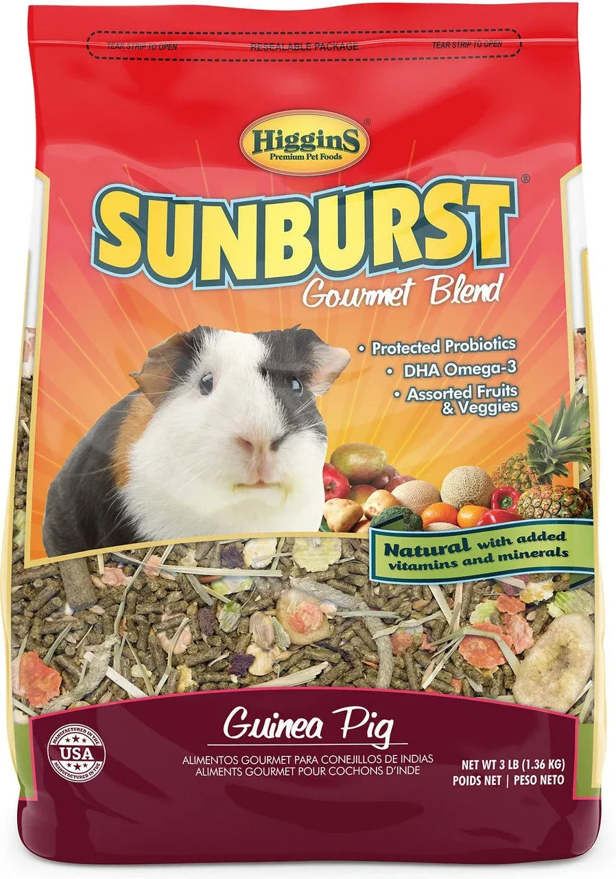 Higgins Sunburst Guinea Pig - 3lb