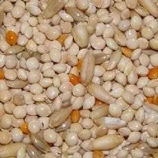 Higgins Supreme for Parakeets 50lb {L-1}466452 - Image 2