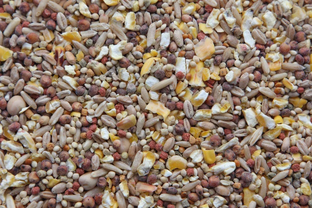 Higgins Vita Dove Food - Image 2