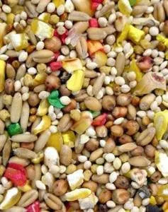Higgins Vita Seed Dove 25lb {L-1}466140 - Image 2
