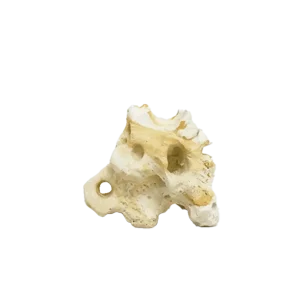 Hikari USA Resin Texas Holey Rock 5.7 In X 3.75 In X 4.50 in