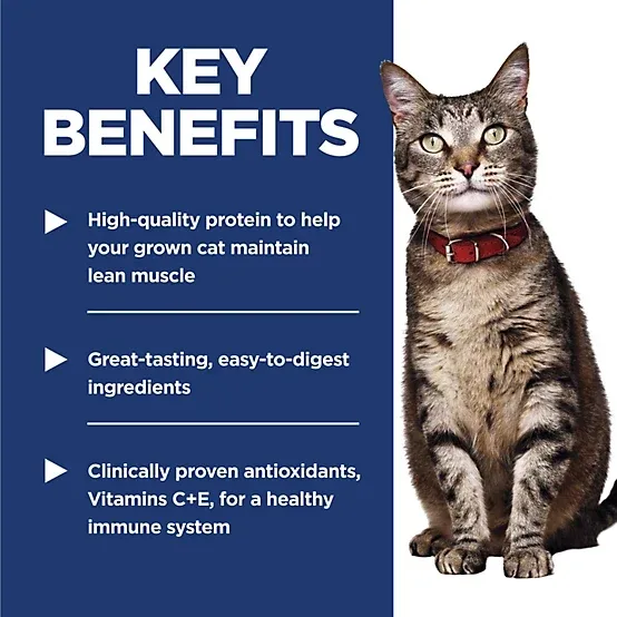 Hill's Science Diet Adult Tender Chicken Dinner Wet Cat Food, 2.8 oz. - Image 2