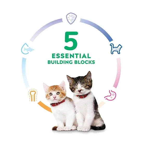 Hill's Science Diet Kitten Healthy Cuisine Tender Chicken and Rice Medley Wet Cat Food, 2.8 oz - Image 2