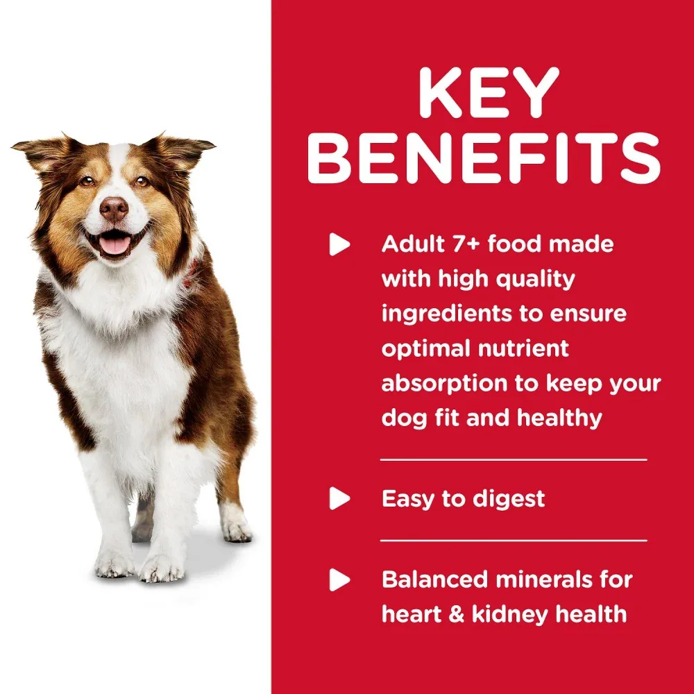 Hill's Science Diet Senior 7+ Gourmet Turkey & Barley Entree Canned Dog Food - Image 2