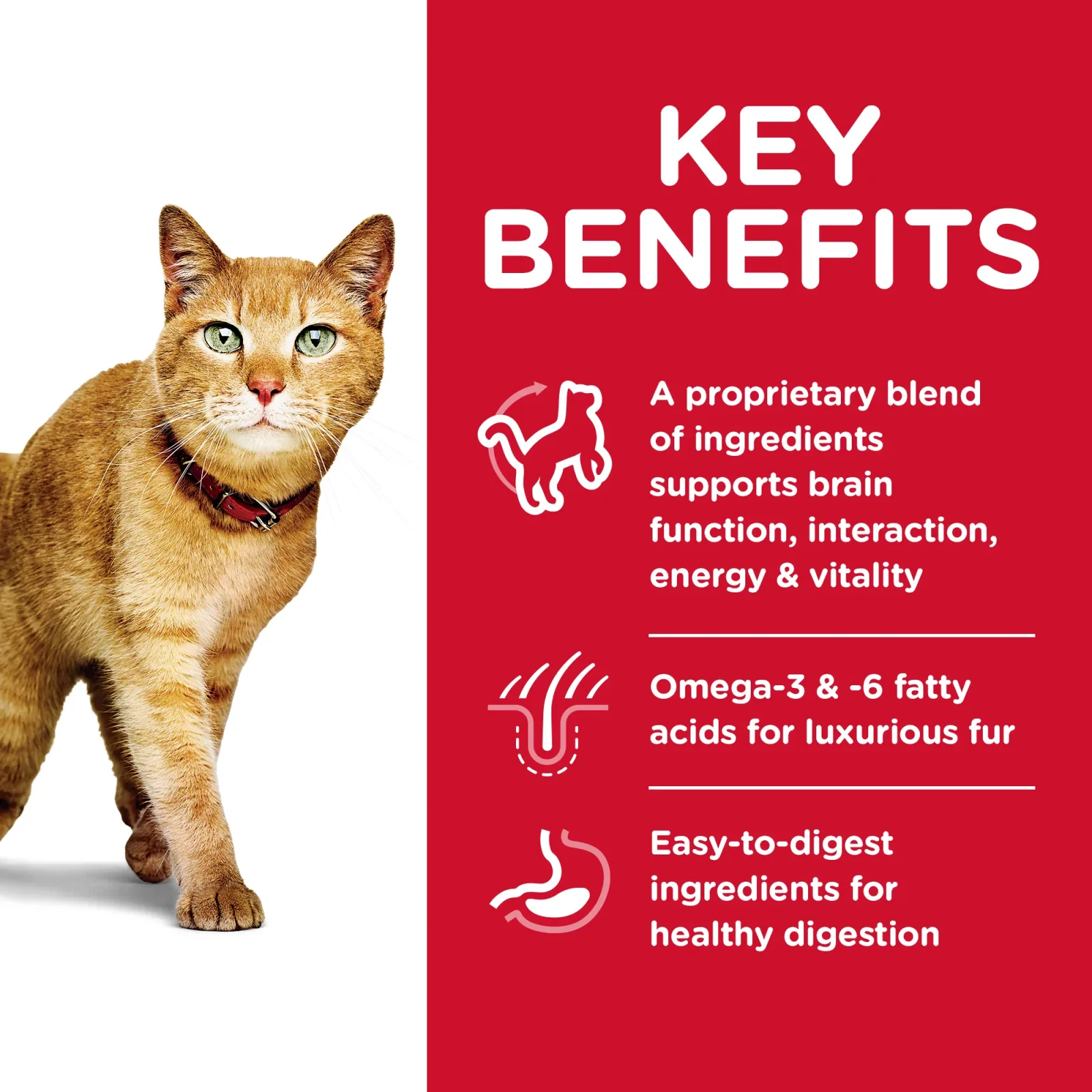 Hill's Science Diet Senior 7+ Senior Vitality Chicken & Rice Recipe Dry Cat Food, 6 lb bag - Image 2