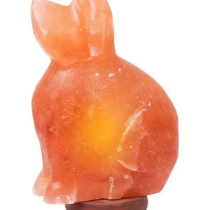 Himalayan Rock Salt Dog Lamp