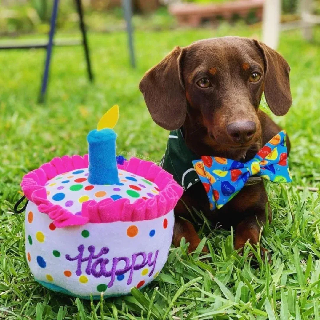 H&K Power Plush Dog Happy Barkday Cake Large Squeak & Crinkle Dog Toy - Image 2