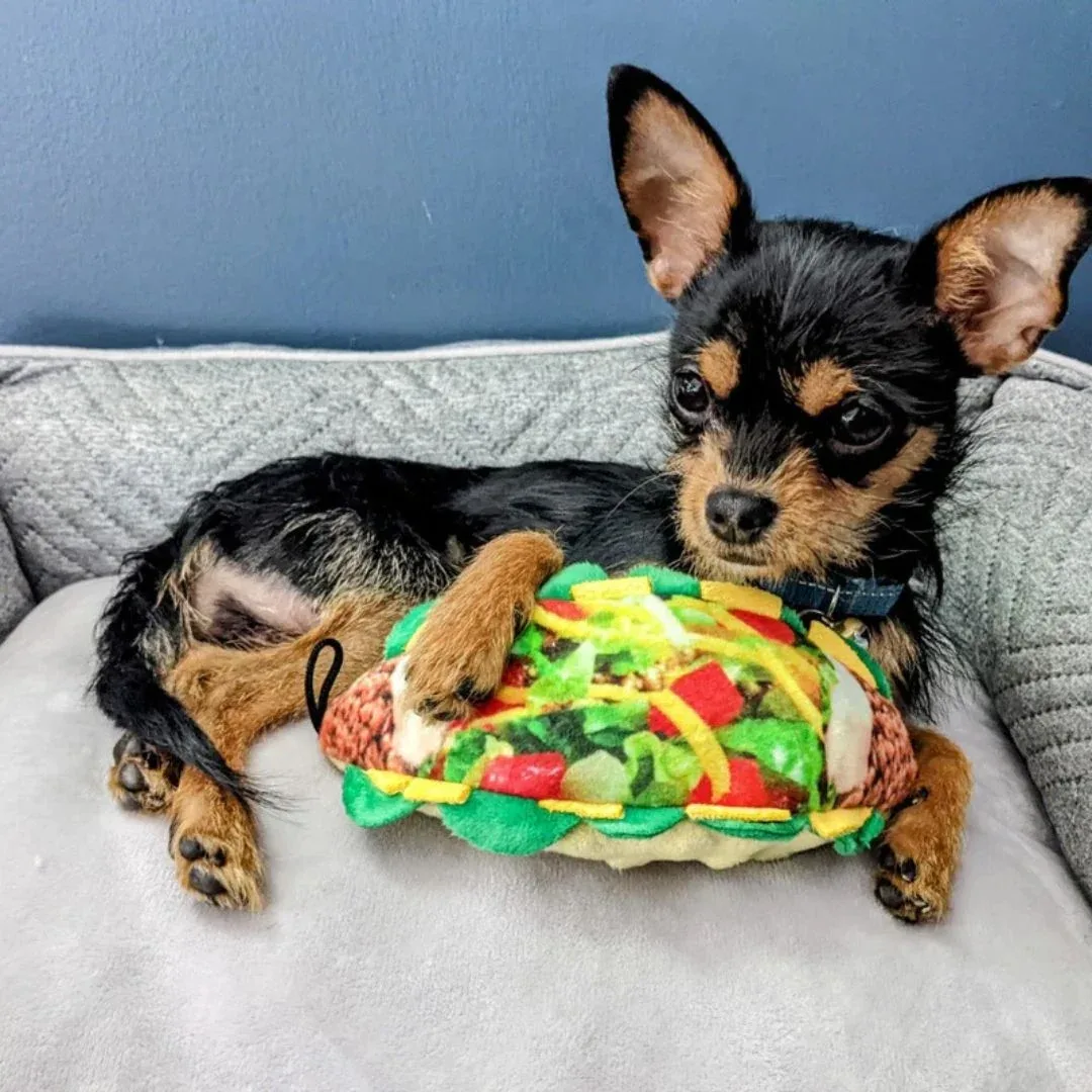 H&K Power Plush Taco Tuesday Small Plush Squeak & Crinkle Dog Toy - Image 2