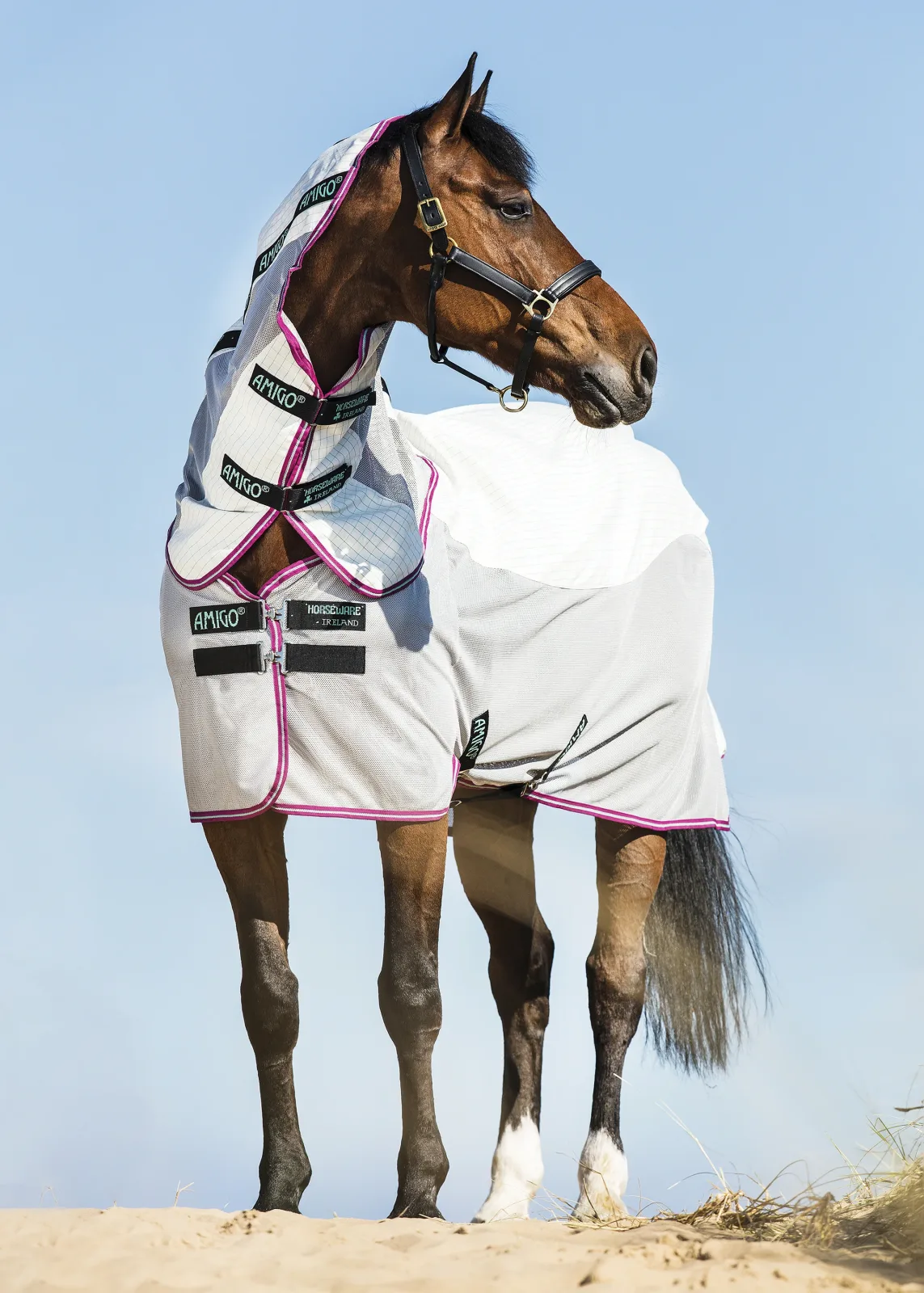 Horseware® Amigo® Airflow Sheet