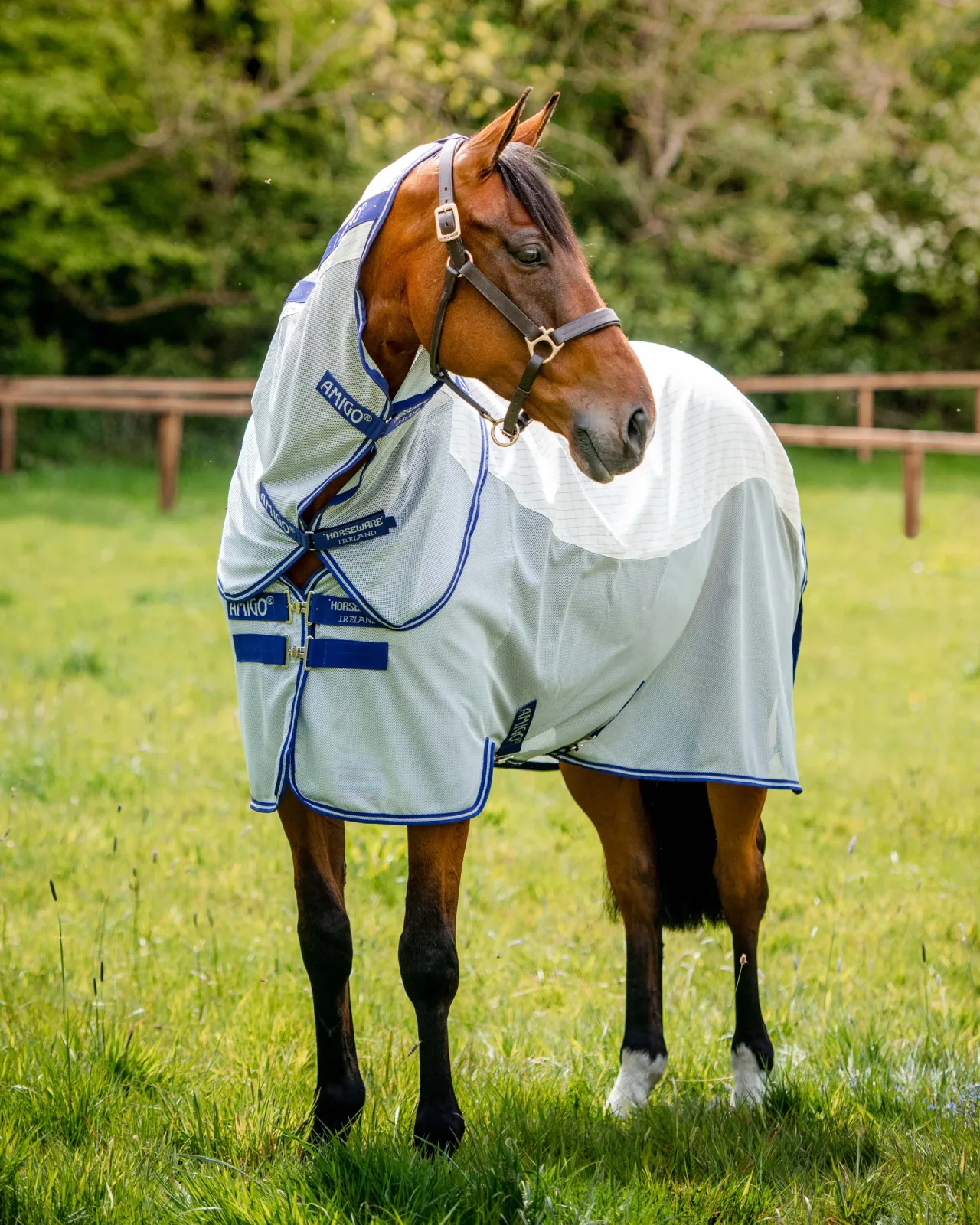 Horseware® Amigo® Airflow Sheet - Image 2