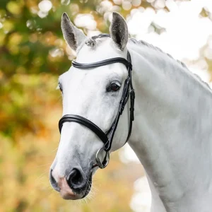 Horseware Cavesson Bridle