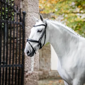 Horseware Dressage Flash Bridle