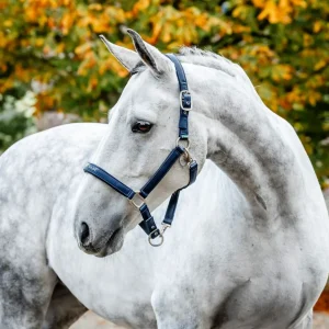 Horseware Grooming Headcollar