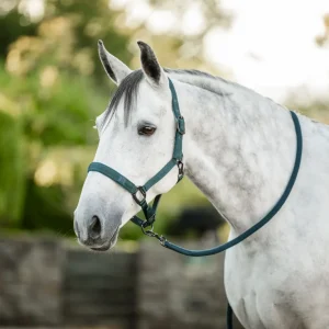 Horseware Halter & Lead Rope