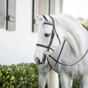 Horseware Pony Hunter Cavesson Bridle with Reins