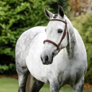 Horseware Hunter Cavesson Bridle