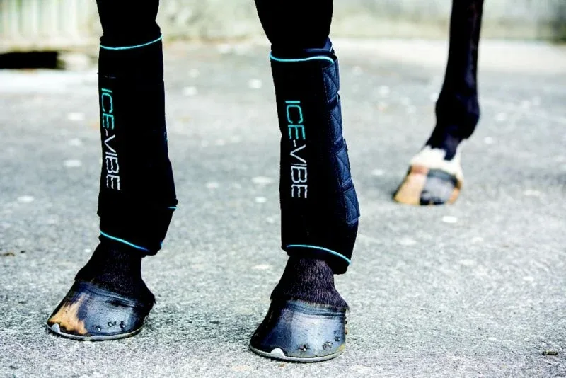 Horseware ICE-VIBE Boots 2pk - Image 2