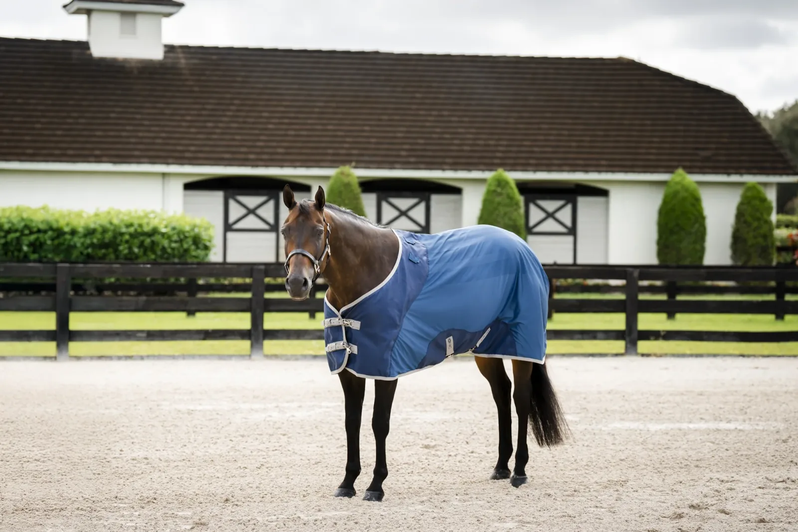 Horseware Ionic Therapy Quarter Horse Mesh Cooler